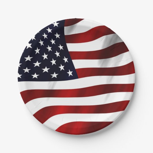 US FLAGGE FLAG PAPPTELLER (Vorderseite)