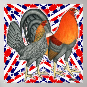 US Flagge Gamefowl Poster