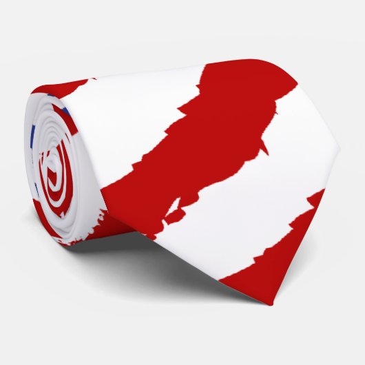 US Flagge-Krawatte Krawatte (Gerollt)