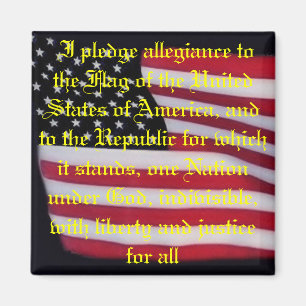 US-Flagge mit Plebemagnet Magnet