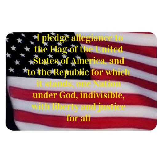 US-Flagge mit Plebemagnet Magnet (Horizontal)