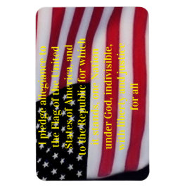 US-Flagge mit Plebemagnet Magnet