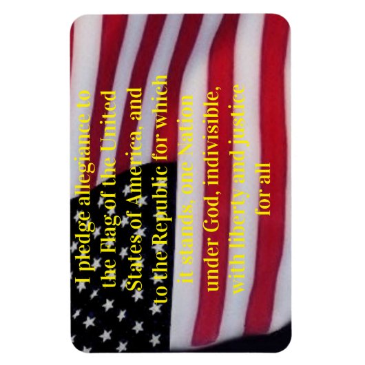 US-Flagge mit Plebemagnet Magnet (Vertikal)