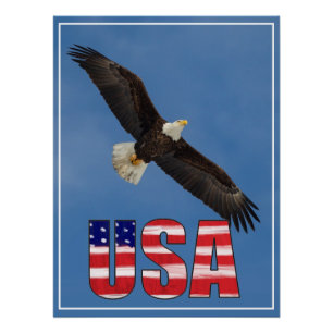 US-Flagge und Bald-Adler Poster