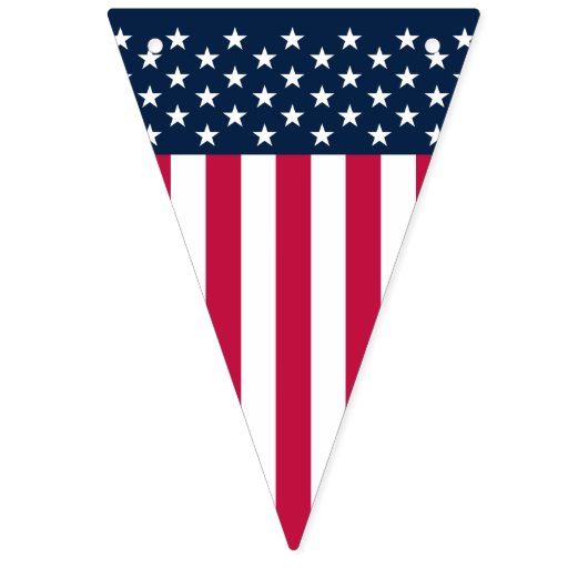 US-Flagge US Flagge (Erste Fahne)