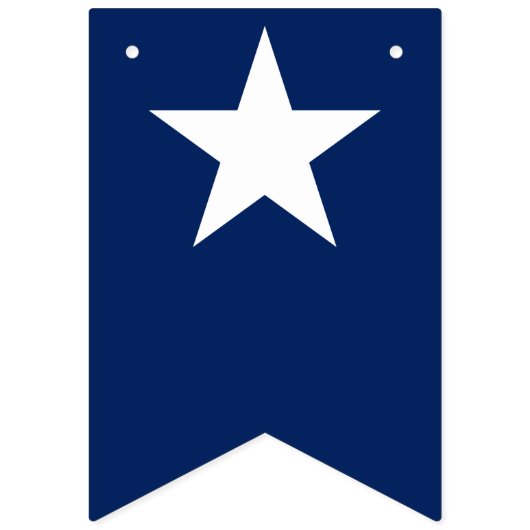 US FLAGGE USA (Zweite Fahne)