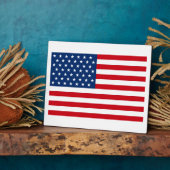 US FLAGGE USA FOTOPLATTE (Seite)