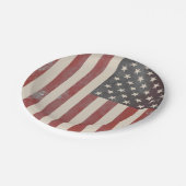 US Flagge-Vintager AmericanapapierTeller Pappteller (Schrägansicht)