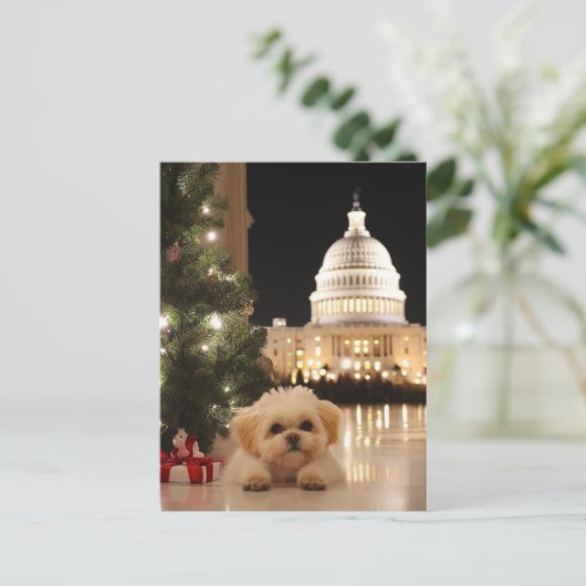 US Hauptstadt Hill Weihnachts Postkartenhund Postkarte (Stehend Vorderseite)