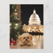 US Hauptstadt Hill Weihnachts Postkartenhund Postkarte (Vorderseite)