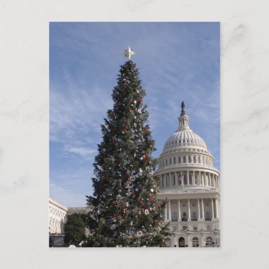US Hauptstadt Hill Weihnachtsbaum Feiertagspostkarte (Vorderseite)
