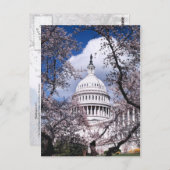 US-Hauptstadt mit Kirschblüten, Washington DC Postkarte (Vorne/Hinten)