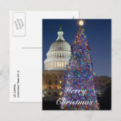 US-Hauptstadt Weihnachtsbaum Postkarte (Vorne/Hinten)