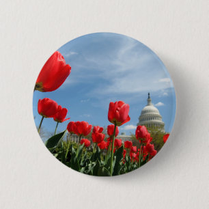 US-Hauptstadts-Gebäude-Frühlings-Foto Button