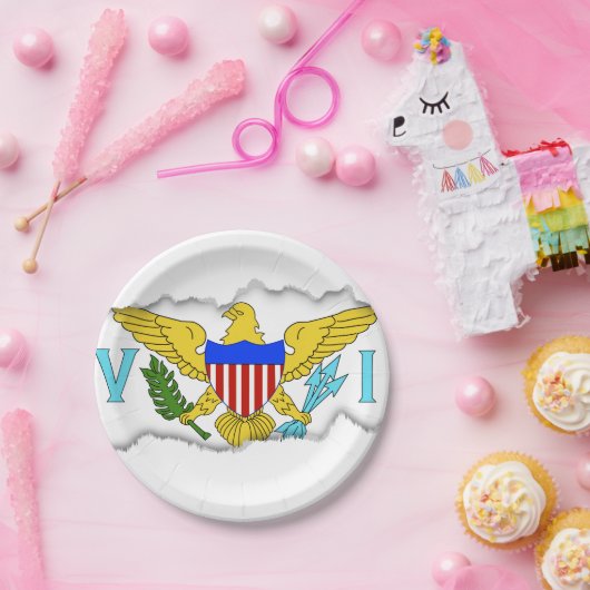 US-Jungferninselnflagge Pappteller (Party)