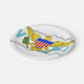 US-Jungferninselnflagge Pappteller (Schrägansicht)