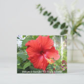 US-Jungfrau-Inseln - Hibiskus Postkarte (Stehend Vorderseite)