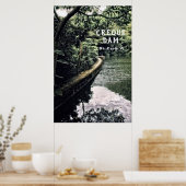 US Jungfrau Islands Rain Forest Creque Dam USVI Poster (Küche)