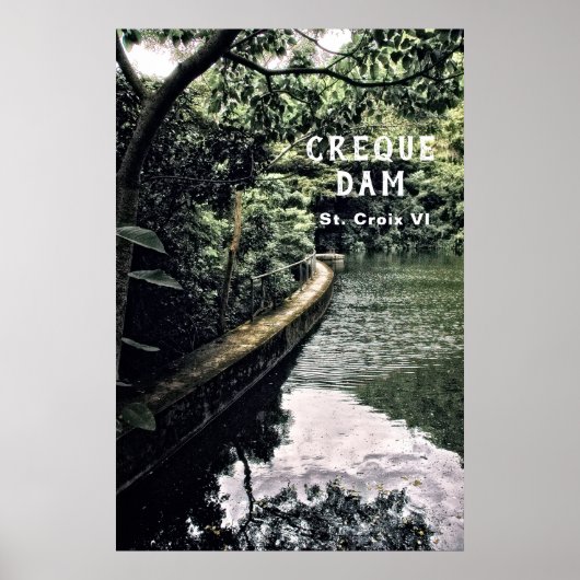 US Jungfrau Islands Rain Forest Creque Dam USVI Poster (Vorne)