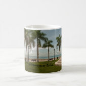 US Jungfrau Islands St. Croix Palm Trees Tropical Kaffeetasse (Mittel)