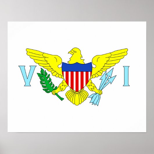 US-Jungfrau Poster (Vorne)