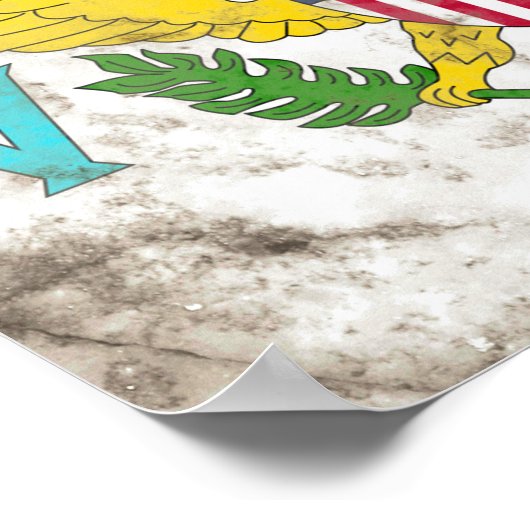 US-Jungfrauen Poster (Ecke)