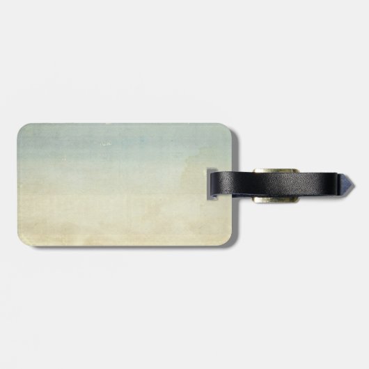 US-Luftpost-Gans TAN Hued Gepäckanhänger (Rückseite horizontal)