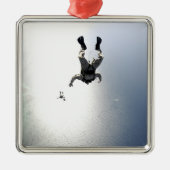 US-Luftwaffenparadies Silbernes Ornament (Vorne)