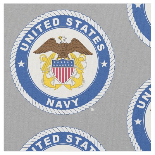US-Marine | Referent Wappen Stoff (Nahaufnahme)