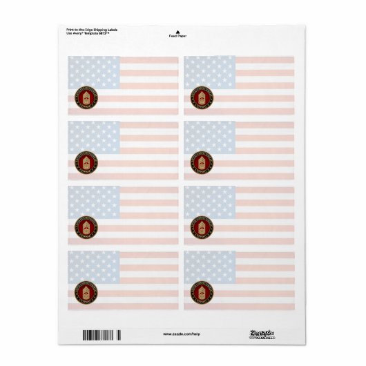 US-Marineinfanterie: Master Gunnery Sergeant (USMC (Vorne)