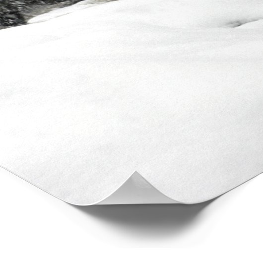 US Marines patrol in Khowst-Gardez Pass Poster (Ecke)