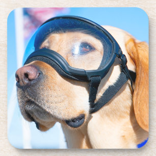 US-MILITÄRHUNDE GETRÄNKEUNTERSETZER