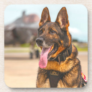 US-MILITÄRHUNDE GETRÄNKEUNTERSETZER