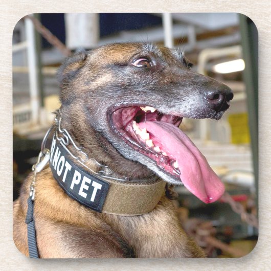 US-MILITÄRHUNDE GETRÄNKEUNTERSETZER (Vorderseite)