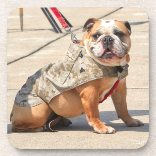 US-MILITÄRHUNDE GETRÄNKEUNTERSETZER (Vorderseite)
