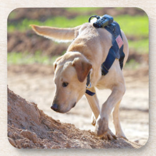 US-MILITÄRHUNDE GETRÄNKEUNTERSETZER