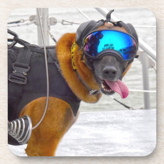 US-MILITÄRHUNDE GETRÄNKEUNTERSETZER (Vorderseite)