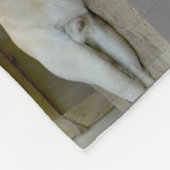 US-MILITÄRISCHE ARBEITHUNDE "MONTAGE" FLEECEDECKE (Ecke)