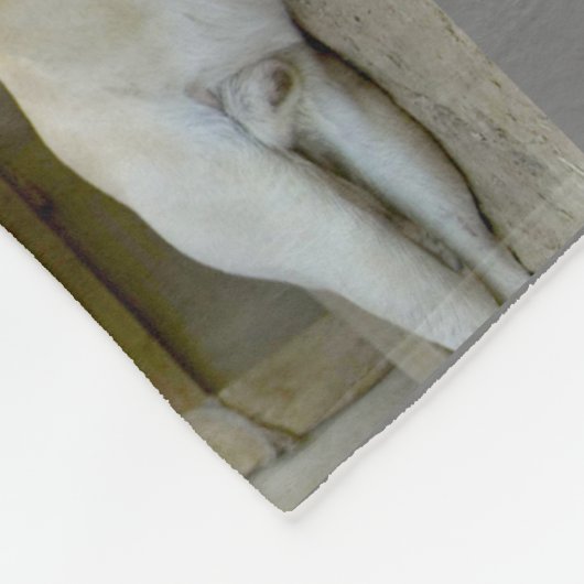 US-MILITÄRISCHE ARBEITHUNDE "MONTAGE" FLEECEDECKE (Ecke)