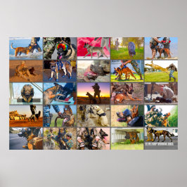 US-MILITÄRISCHE ARBEITHUNDE "MONTAGE" POSTER