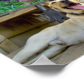 US-MILITÄRISCHE ARBEITHUNDE "MONTAGE" POSTER (Ecke)