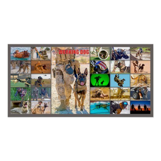 US-MILITÄRISCHER ARBEITHUND "MONTAGE" POSTER (Vorderseite)