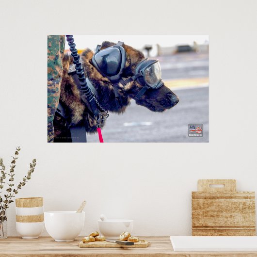 US-MILITÄRISCHER ARBEITSHUND POSTER (Küche)