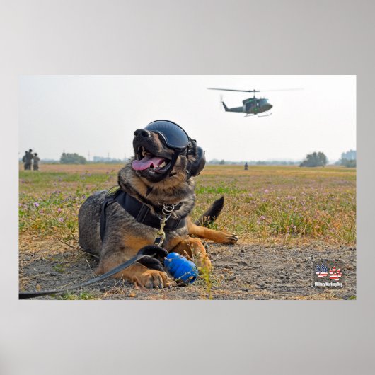 US-MILITÄRISCHER ARBEITSHUND POSTER (Vorne)