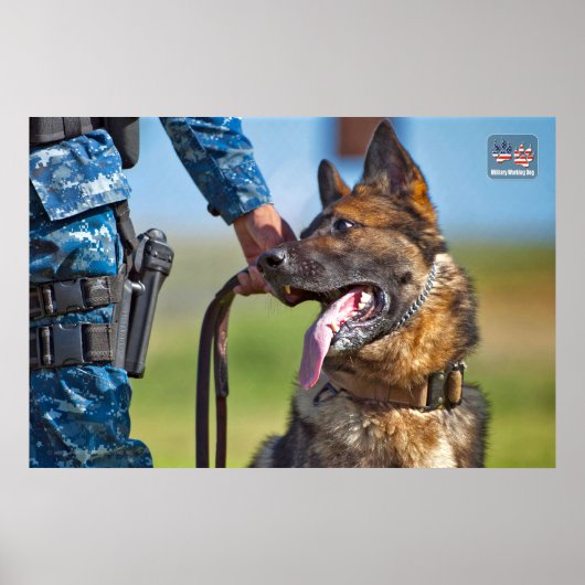 US-MILITÄRISCHER ARBEITSHUND POSTER (Vorne)