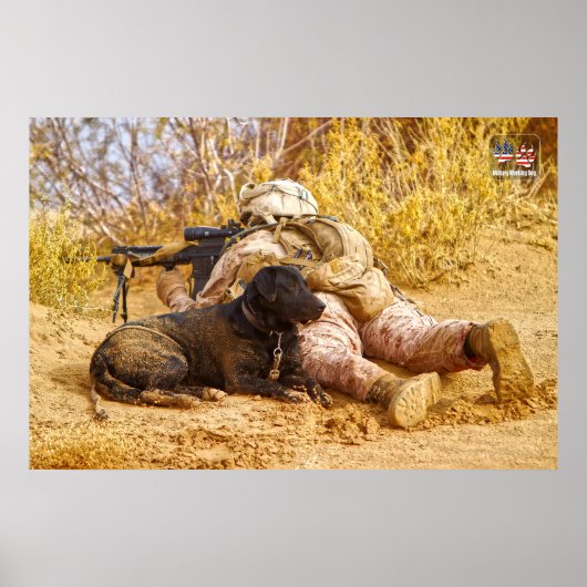 US-MILITÄRISCHER ARBEITSHUND POSTER (Vorne)