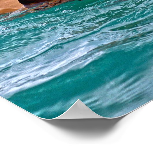 US-MILITÄRISCHER ARBEITSHUND POSTER (Ecke)