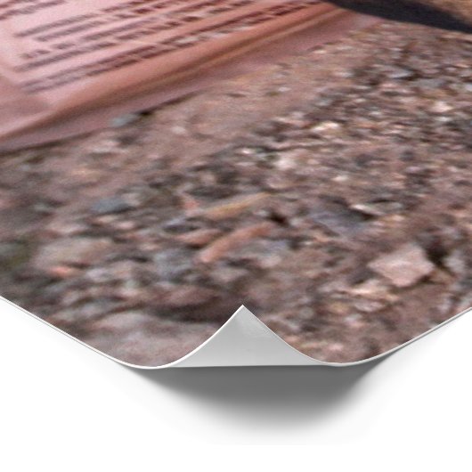 US-MILITÄRISCHER ARBEITSHUND POSTER (Ecke)