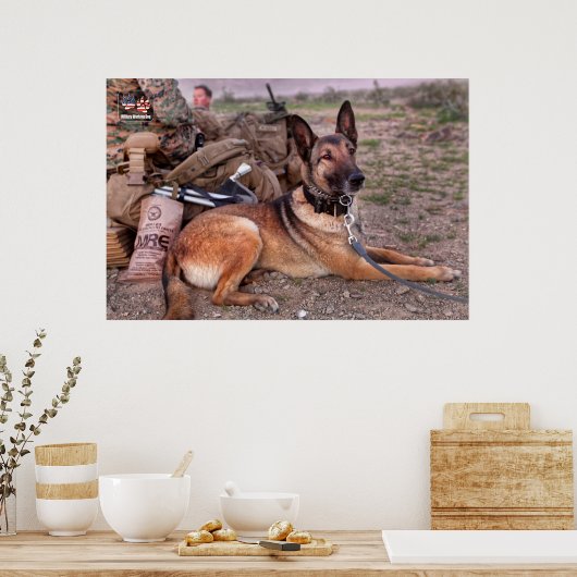 US-MILITÄRISCHER ARBEITSHUND POSTER (Küche)