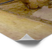 US-MILITÄRISCHER ARBEITSHUND POSTER (Ecke)